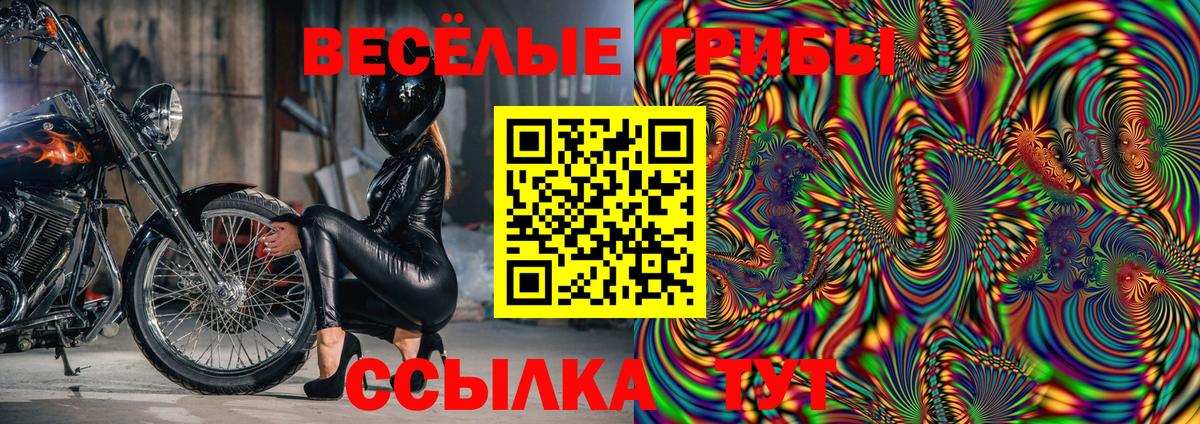 Галлюциногенные грибы Psilocybe Медногорск