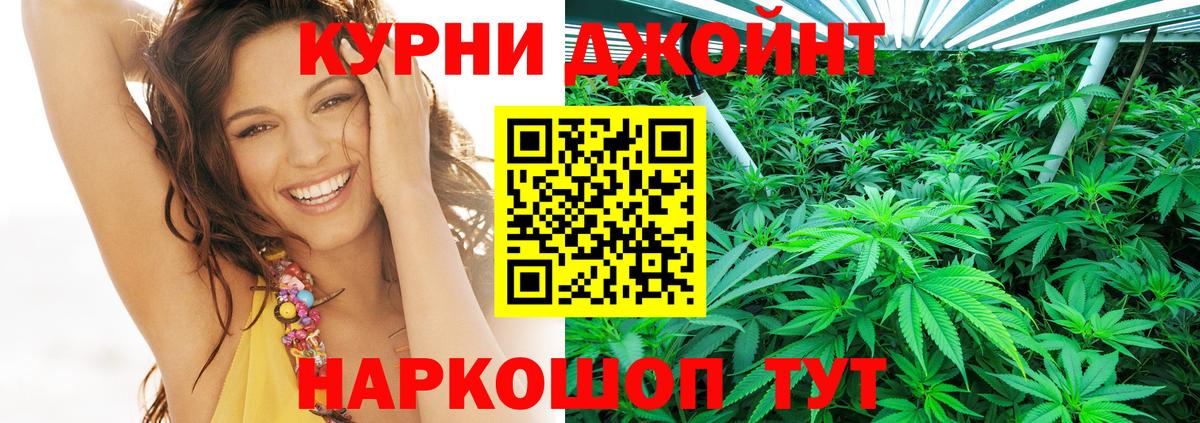 Шишки марихуана план Медногорск